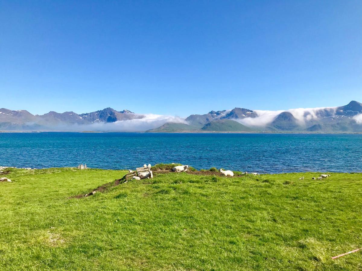 Eggum Rorbuer Villa Bostad Exteriör bild